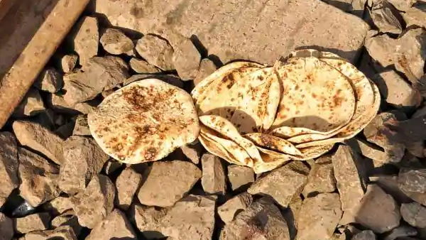 आसपास झाड़ियां थी सभी ने ट्रैक पर सोना सुरक्षित समझा आसपास झाड़ियां थी सभी ने ट्रैक पर सोना सुरक्षित समझा