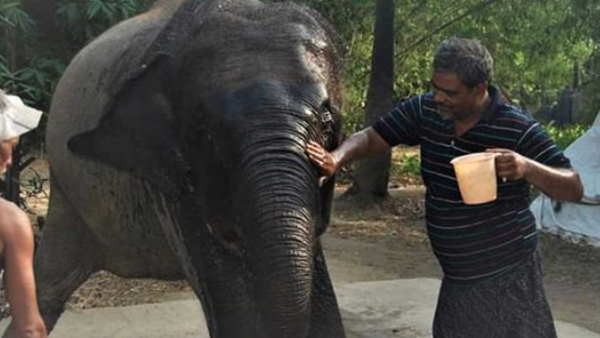 5 करोड़ की संपत्ति नाम लिखा 5 करोड़ की संपत्ति नाम लिखा