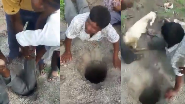 शख्स ने बोरवेल से बकरी को निकालने के लिए किया कुछ ऐसा शख्स ने बोरवेल से बकरी को निकालने के लिए किया कुछ ऐसा
