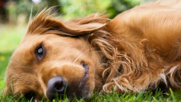 9.06 लाख रुपए का खर्च 