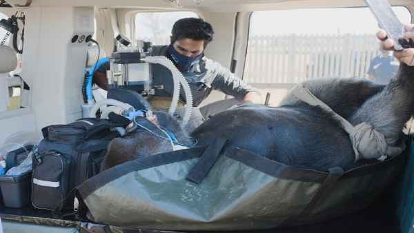 सिटी स्‍कैन करवाने में लोगों से छूट गए पसीने 