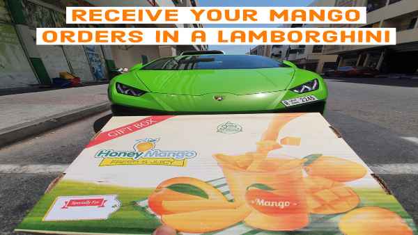  मैंगो इन ए लैम्‍बो