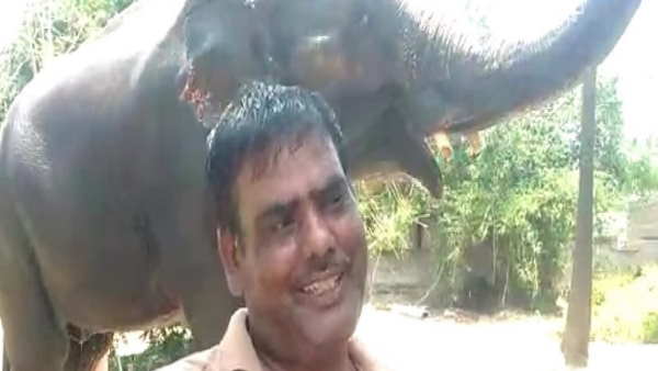 हाथियों ने कई बार बचाई जान हाथियों ने कई बार बचाई जान