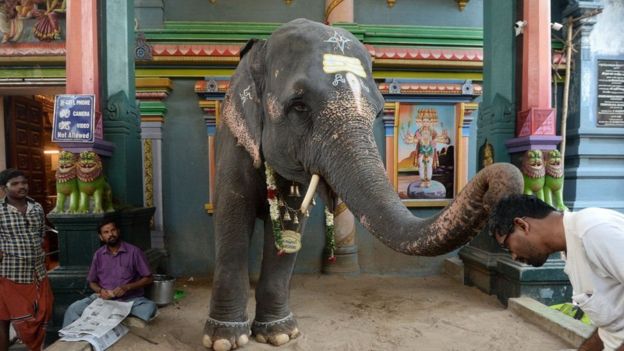 ARUN SANKAR/AFP/GETTY IMAGES