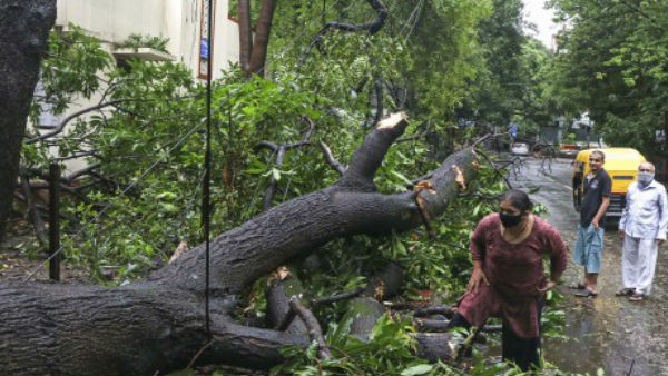 निसर्ग के कारण महाराष्ट्र में 3 लोगों की मौत