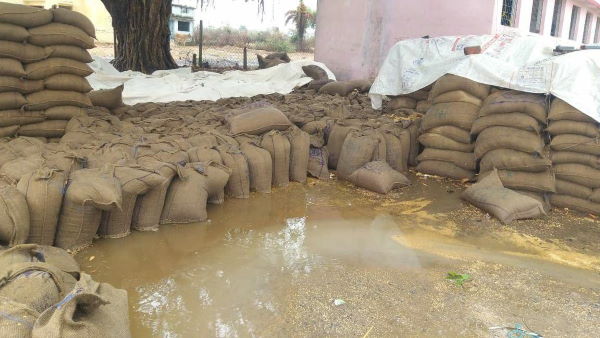 हजारों क्विंटल अनाज हुआ बर्बाद