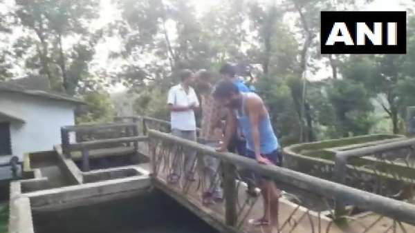 तैरते दिखे बंदरों के शव