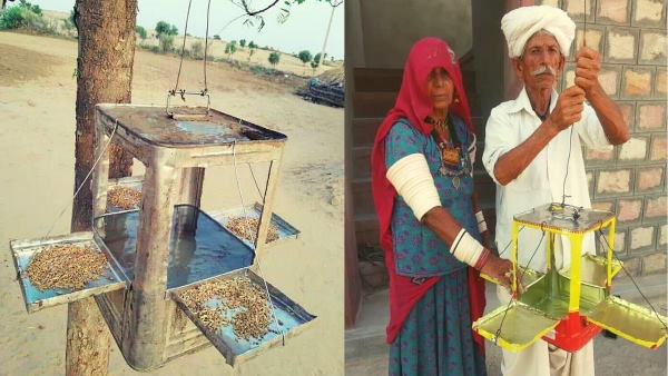 बाड़मेर में बारिश न के बराबर