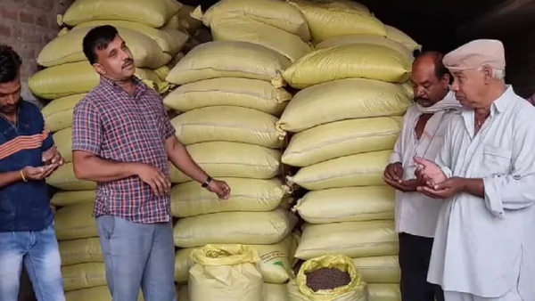  सामान्य गेहूं से दोगुनी कीमत पर बिक्री