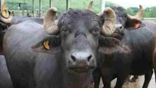 'उसके कारण ही पुलिस में भर्ती हूं'