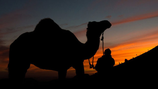 वायरल हुए रेस्क्यू ऑपरेशन के वीडियो