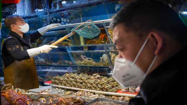 कच्चा मांस-मछलियों को छूने से सावधान कच्चा मांस-मछलियों को छूने से सावधान