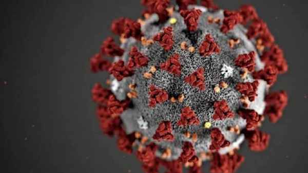  कोरोनवायरस को लुभाकर, फसाकर मारने के लिए जैव डिकॉय विकसित किया