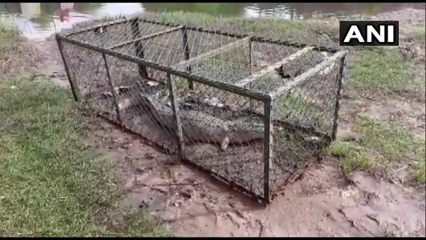 भारत के किसी भी शहर से ज्यादा निकले 