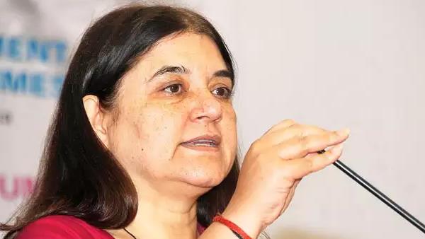 भाजपा नेता ने राहुल गांधी पर उठा दिए सवाल