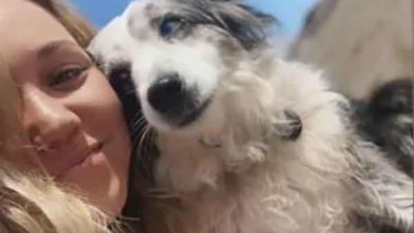 4 यात्रियों ने बुक कराया