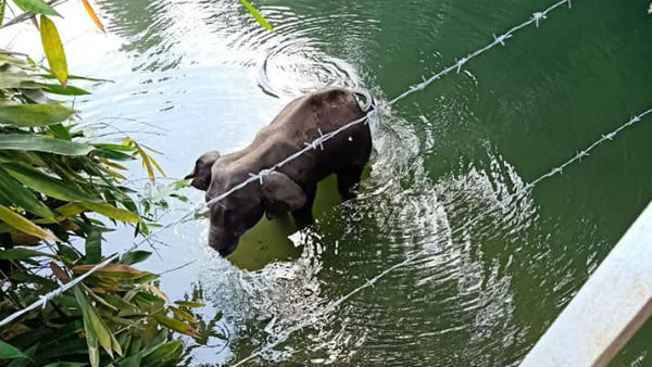 दर्द से राहत के लिए नहीं में खड़ी रही 
