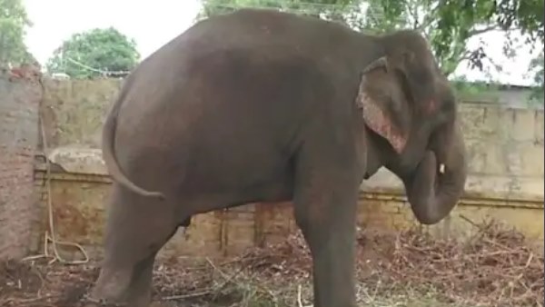 क्या है पूरा मामला