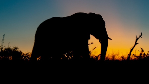 क्या कहते हैं अधिकारी