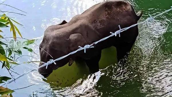 'दोषियों को सख्त से सख्त सजा हो, जिससे समाज में कड़ा संदेश जाए' 'दोषियों को सख्त से सख्त सजा हो, जिससे समाज में कड़ा संदेश जाए'