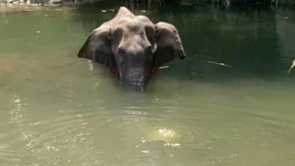 सरकार दोषियों को सख्त सजा दे: मायावती सरकार दोषियों को सख्त सजा दे: मायावती