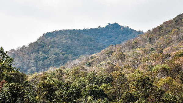 चार साल तक चला था सर्वे