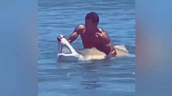 8 फीट लंबी खतरनाक शार्क के साथ किया ये स्‍टंट 