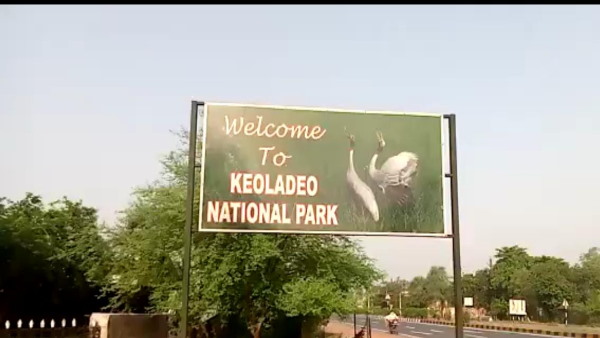  50 ओपन विल स्टार्क पहुंचे