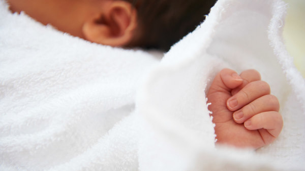 यहां ट्रांसप्लांट सिर्फ 6 माह पहले शुरू हुआ