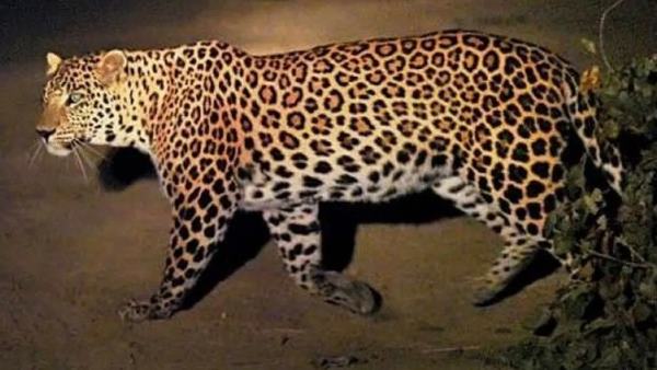 परिजनों को आर्थिक मदद का आश्वासन