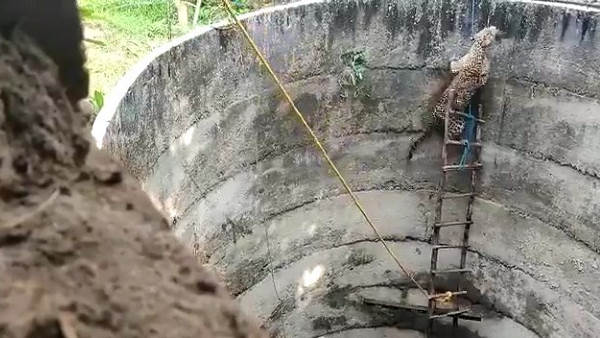 रनवाड़ गाँव के निकट की घटना