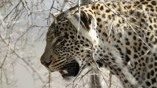 40 मीटर की दूसरी पर बच्चे को छोड़ा, लेकिन...