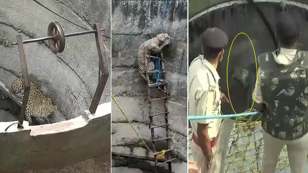 रस्सी बांधी और सीढ़ी अंदर डाली