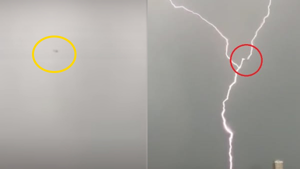 सोशल मीडिया पर वीडियो वायरल सोशल मीडिया पर वीडियो वायरल