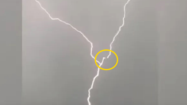 शख्स ने अपनी बिल्डिंग से बनाया वीडियो शख्स ने अपनी बिल्डिंग से बनाया वीडियो