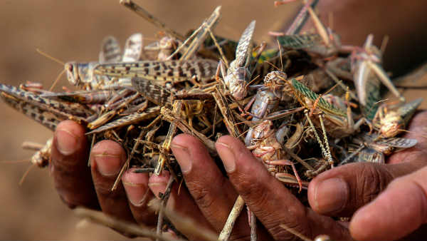कैबिनेट मीटिंग में हुई चर्चा 