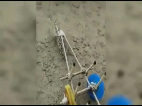 प्रिय टिड्डी अब तुम ही चलाओगी हल!