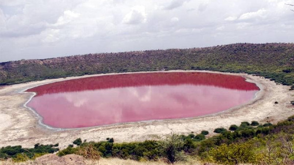 जांच के लिए भेजा गया सैंपल 