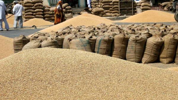 सीएम ने टीम को दी बधाई