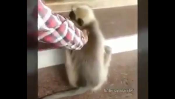 अस्पताल स्टाफ की लोगों ने की तारीफ