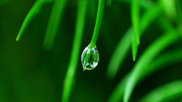 मौसमी हवाओं के लिये प्रयोग हुआ था Monsoon शब्द