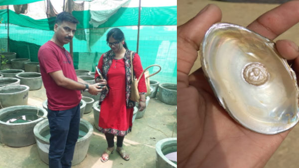 300 गज के भूखंड में खेती