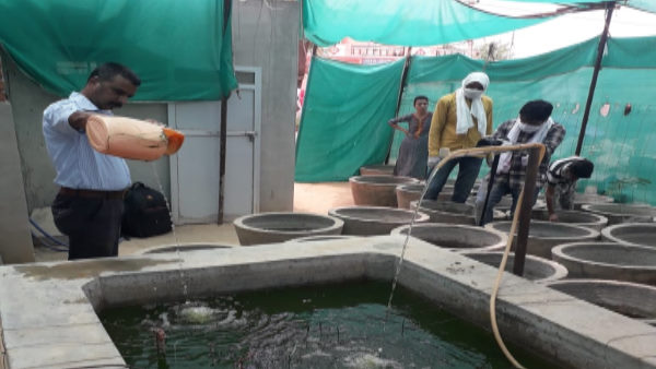  35 हजार रुपए शुरू की यूनिट