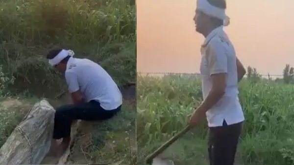 पत्नी ने तलाक और मेंटेनेंस की मांग की है