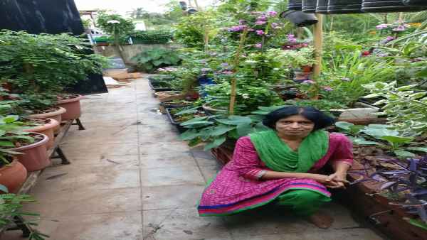  नीला को बिना मिट्टी के खेती करने का ऐसे आया विचार 