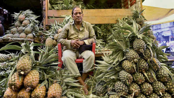 3,000 टन अनानास का निर्यात 
