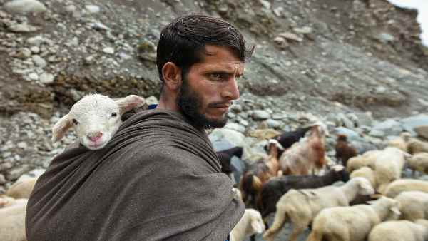 वर्षों पहले मिला था नए चारागाह विकसित करने का भरोसा