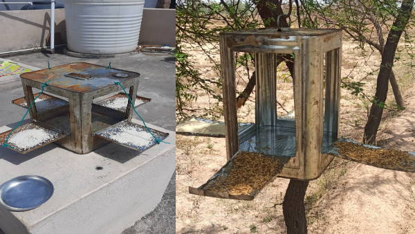  कई जिलों के लोग जुड़े