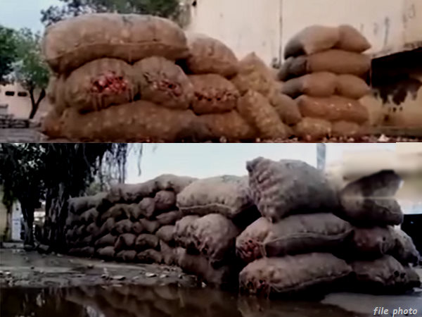 Bhavnagar: 20 thousand sacks of onions dampen in water at Mahuva marketing yard due to heavy rain