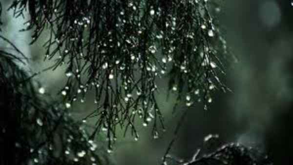 दिल्ली में मौसम ने बदला रंग 